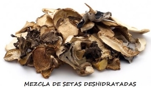 Mezcla de setas deshidratadas 200grs