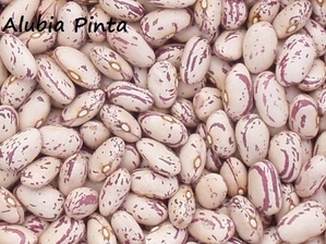 Alubia pinta "Vega Ucero" bolsa 1kg