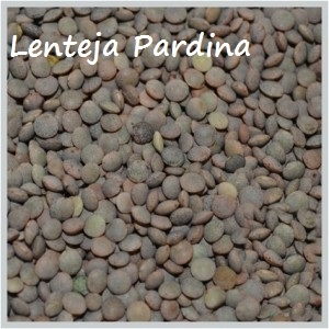 Lenteja pardina "Vega Ucero" bolsa 1kg