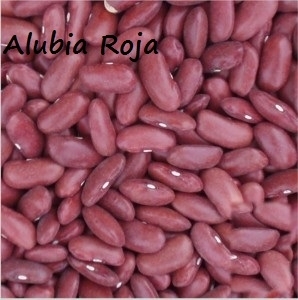 Alubia roja "Vega Ucero" bolsa 1kg