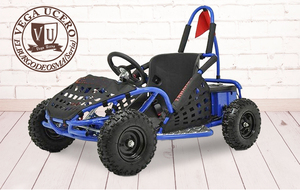 BUGGY MINI 80CC