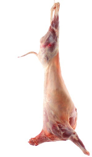 1/2 Cordero Lechal de Soria Fresco. Peso aprox. 3.5 Kg