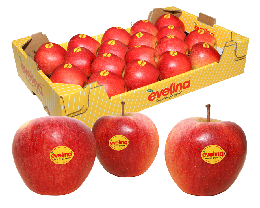 Caja de manzanas 18 uds. Variedad EVELINA de Soria 4,5Kg aprox.