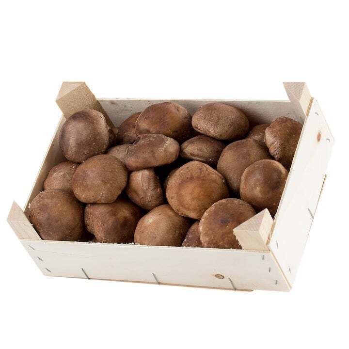 Shiitake fresco.Caja 3 kg